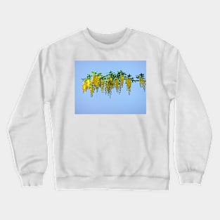 Laburnum Branch Crewneck Sweatshirt